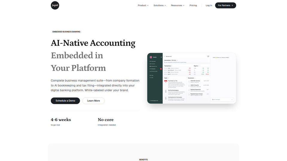 Jupid - AI Accountant That Actually Works