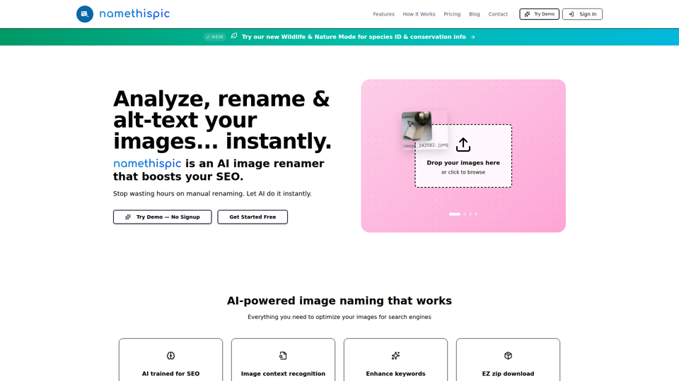 Renombrador de Imágenes con IA - Renombra Imágenes en Masa para SEO | namethispic
